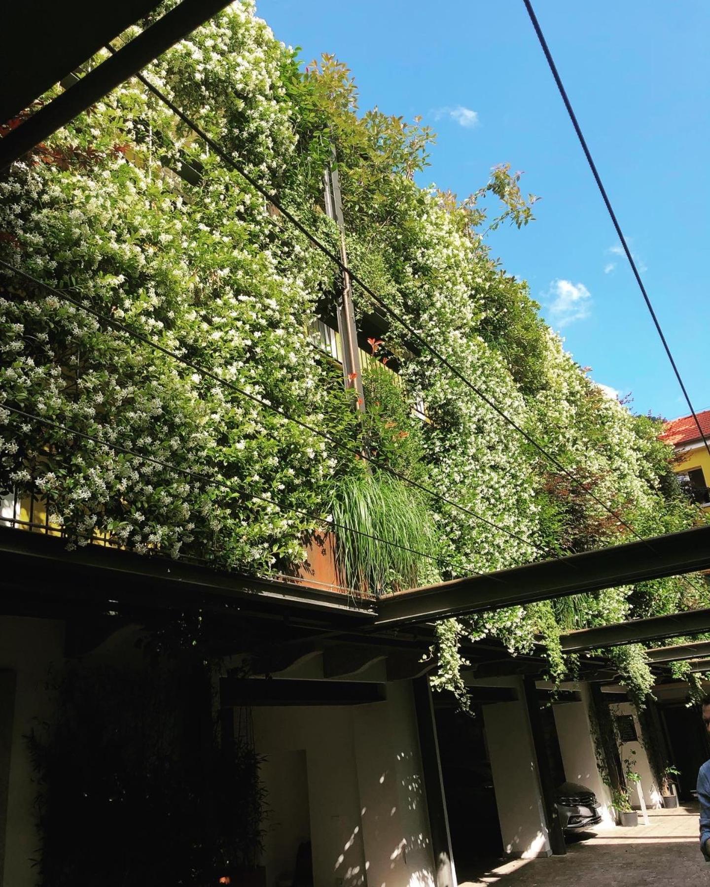 Residence Casa Coppa Appartamento Aster Omegna Εξωτερικό φωτογραφία